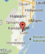 Florida Personal Trainers